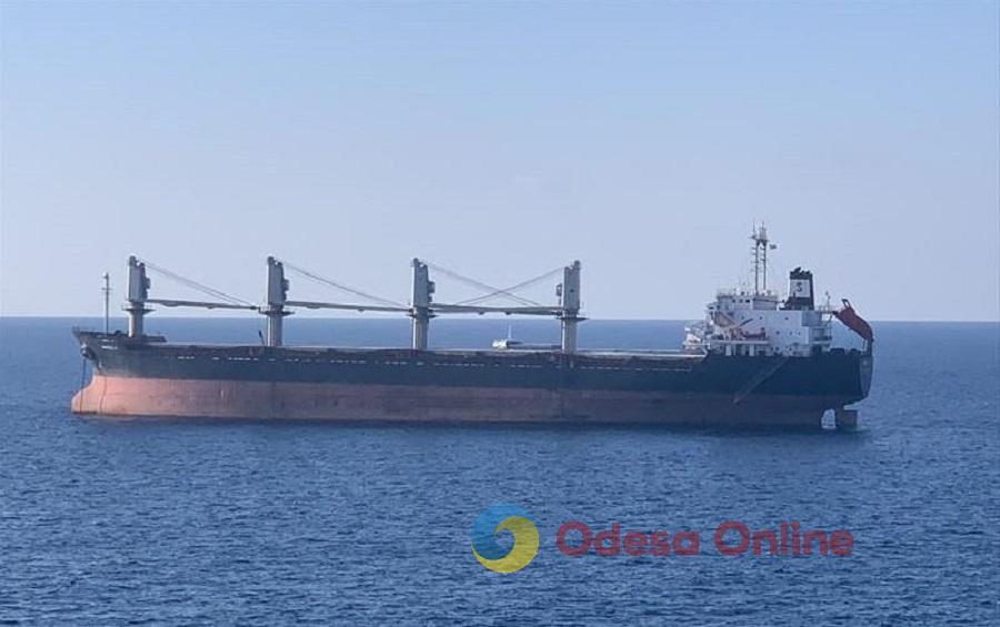 Измаильский порт принял самое большое в своей истории грузовое судно (видео)