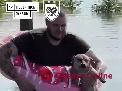 На Херсонщині боєць одеської бригади тероборони врятував собаку з водяної пастки (відео)