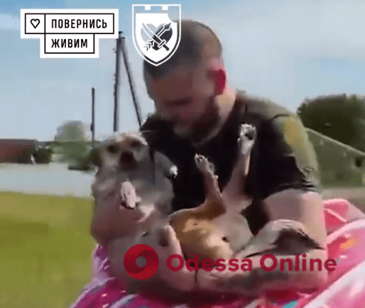 В Херсонской области боец одесской бригады теробороны спас собаку из водяной ловушки (видео)
