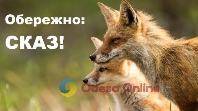 На Одещині зафіксували понад півсотні випадків захворювання тварин на сказ