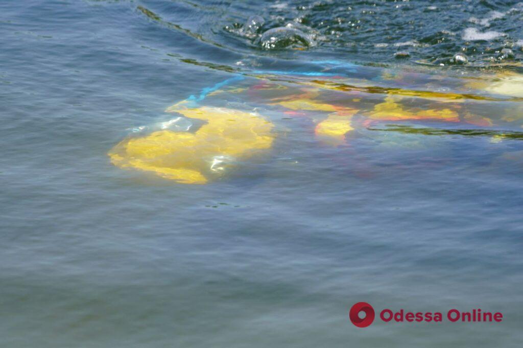 Спасли «пострадавшего» и опробовали новые дроны: как в Одессе проходило обучение водолазов-спасателей (фоторепортаж)
