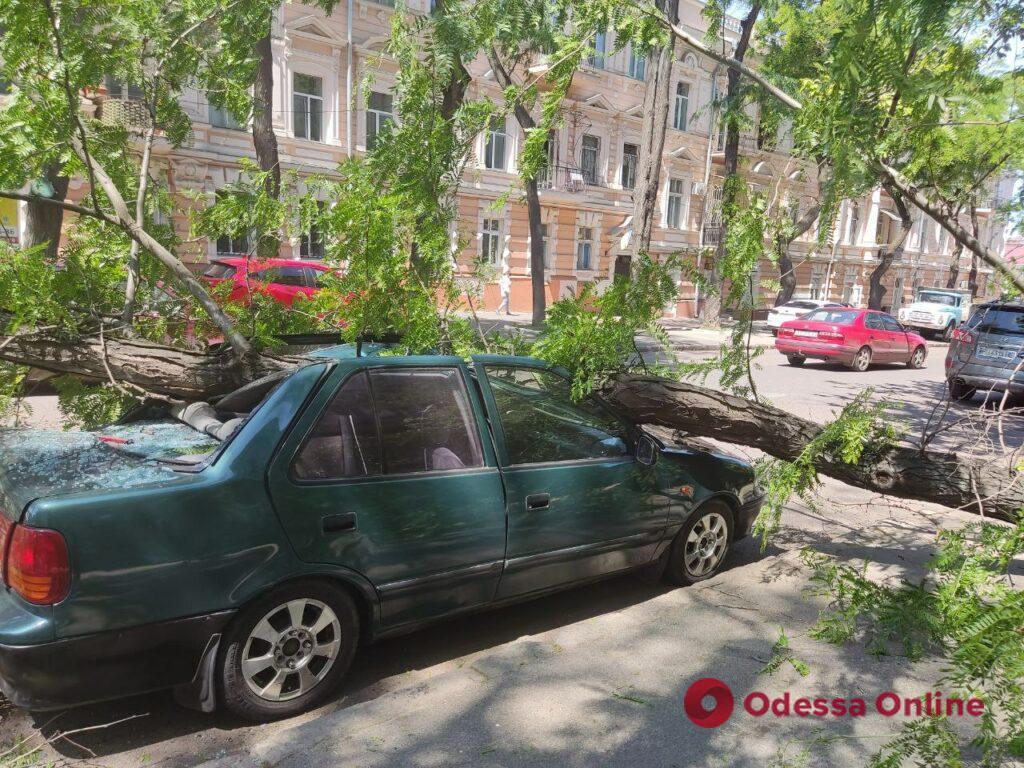 В центрі Одеси велика гілка впала на машину (фото)