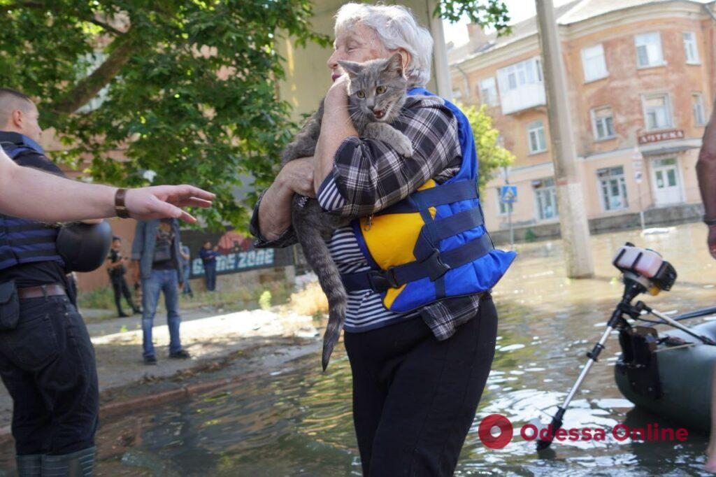 «Хто вцілів після обстрілів, той лишився майна після потопу»: на Херсонщині триває евакуація (фоторепортаж)