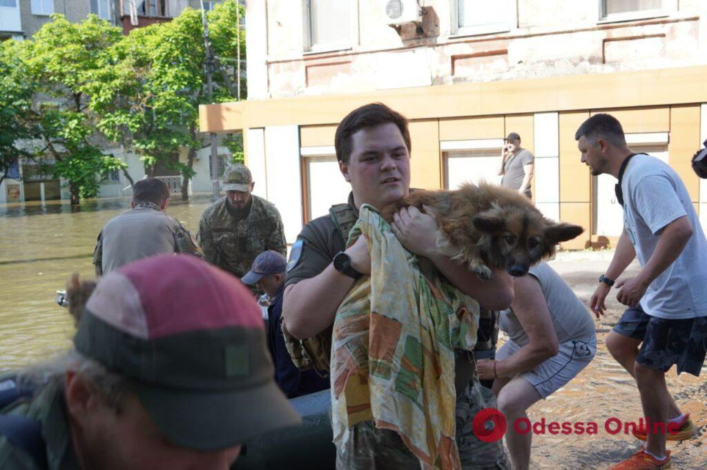 «Хто вцілів після обстрілів, той лишився майна після потопу»: на Херсонщині триває евакуація (фоторепортаж)