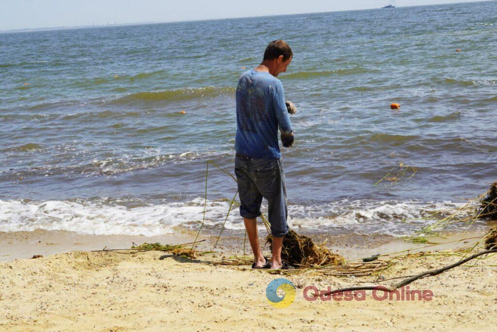 Шматки меблів, дахів та дерев: до пляжів Одеси прибиває сміття з Херсонщини (фото, відео)