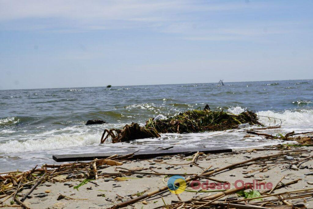 Шматки меблів, дахів та дерев: до пляжів Одеси прибиває сміття з Херсонщини (фото, відео)