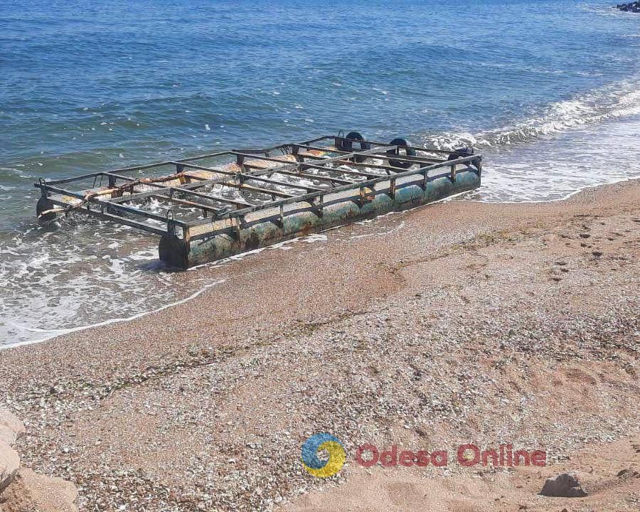 Экоцид в Одесской области: в Черном море начался мор рыбы