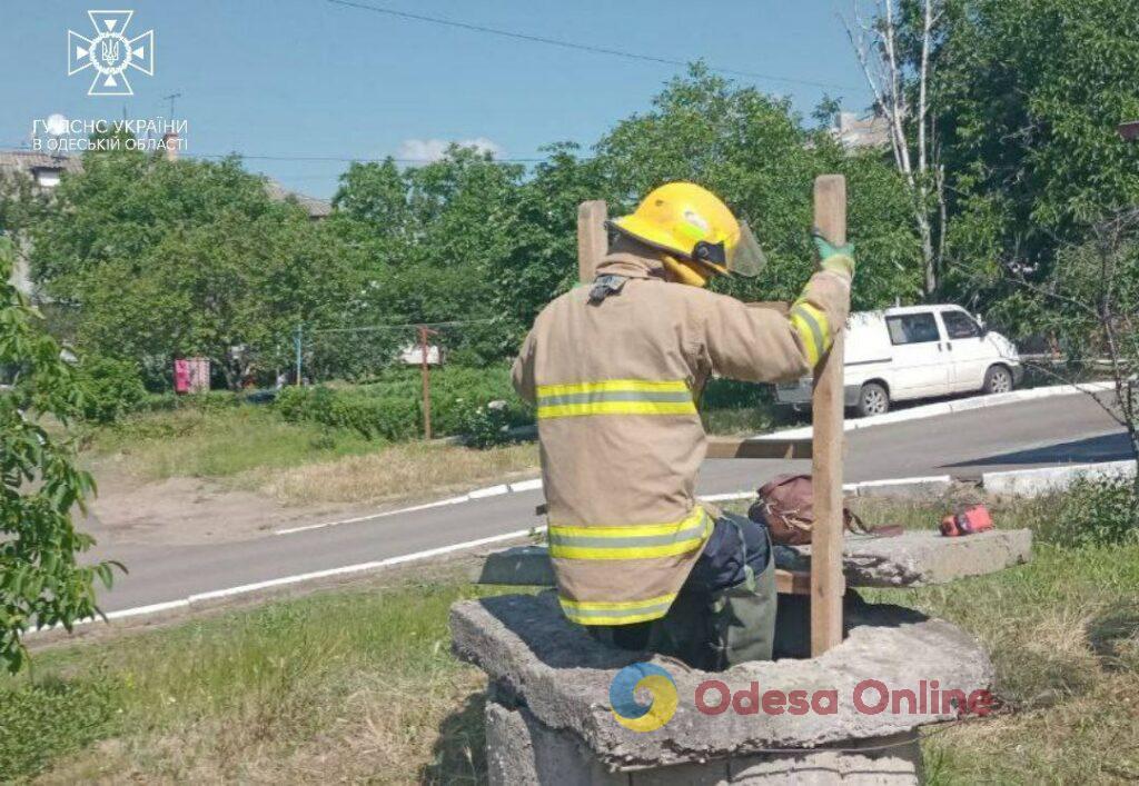 На Одещині рятувальники витягли кота з 5-метрової ями