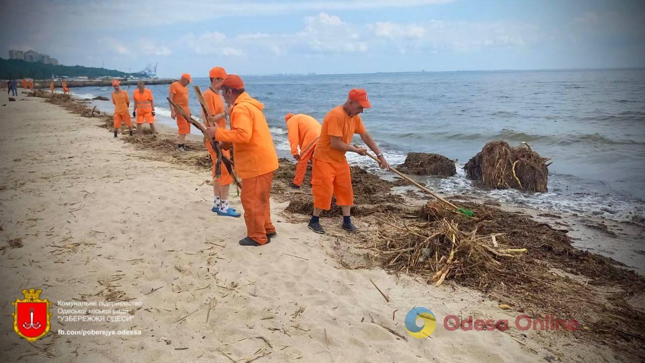 Наслідки підриву Каховської ГЕС: сотні комунальників продовжують прибирати одеське узбережжя (фото)