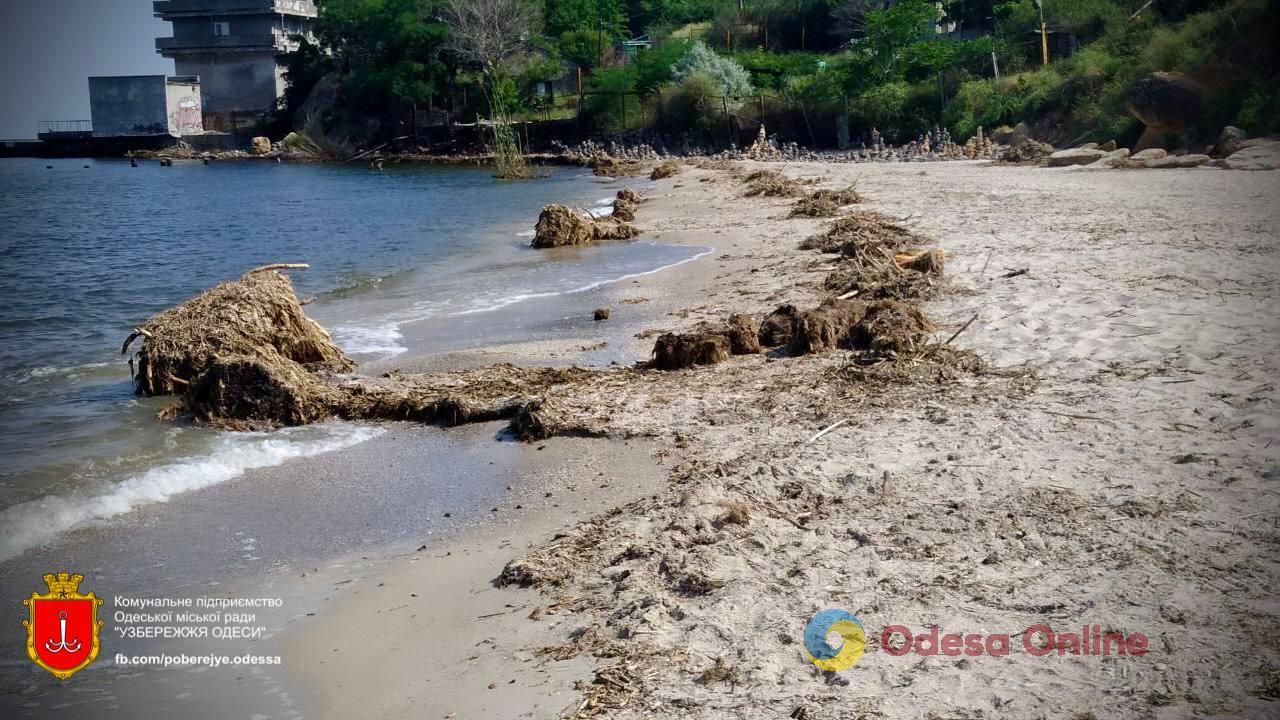 Последствия подрыва Каховской ГЭС: сотни коммунальщиков продолжают убирать одесское побережье (фото)