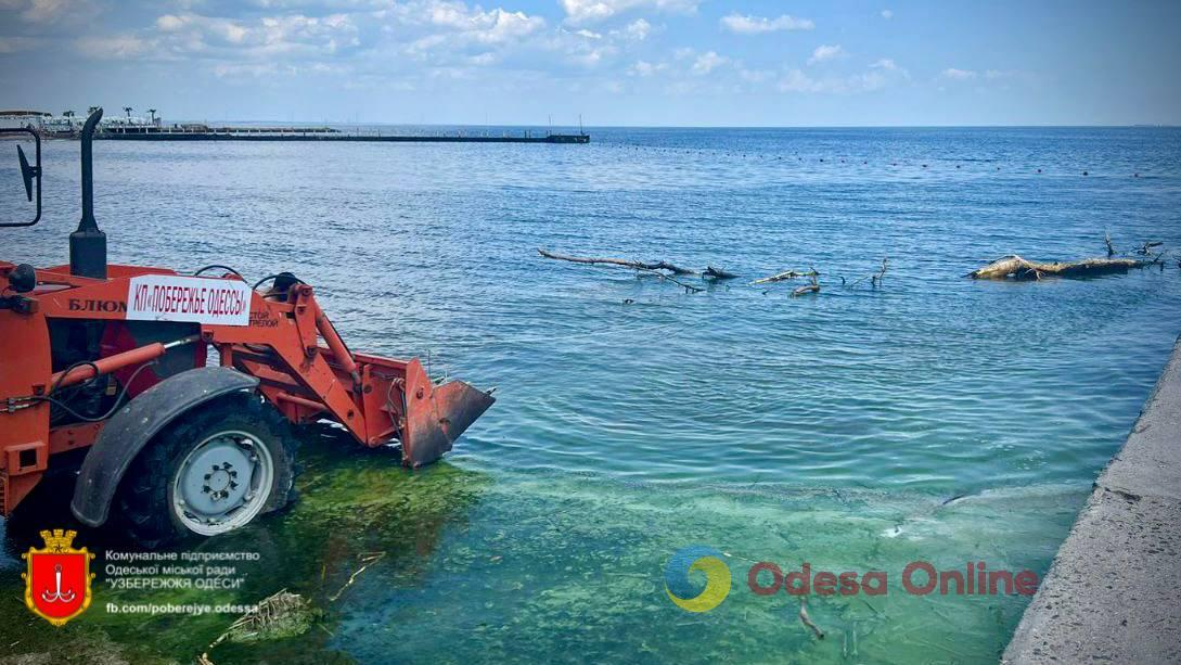 Последствия подрыва Каховской ГЭС: сотни коммунальщиков продолжают убирать одесское побережье (фото)