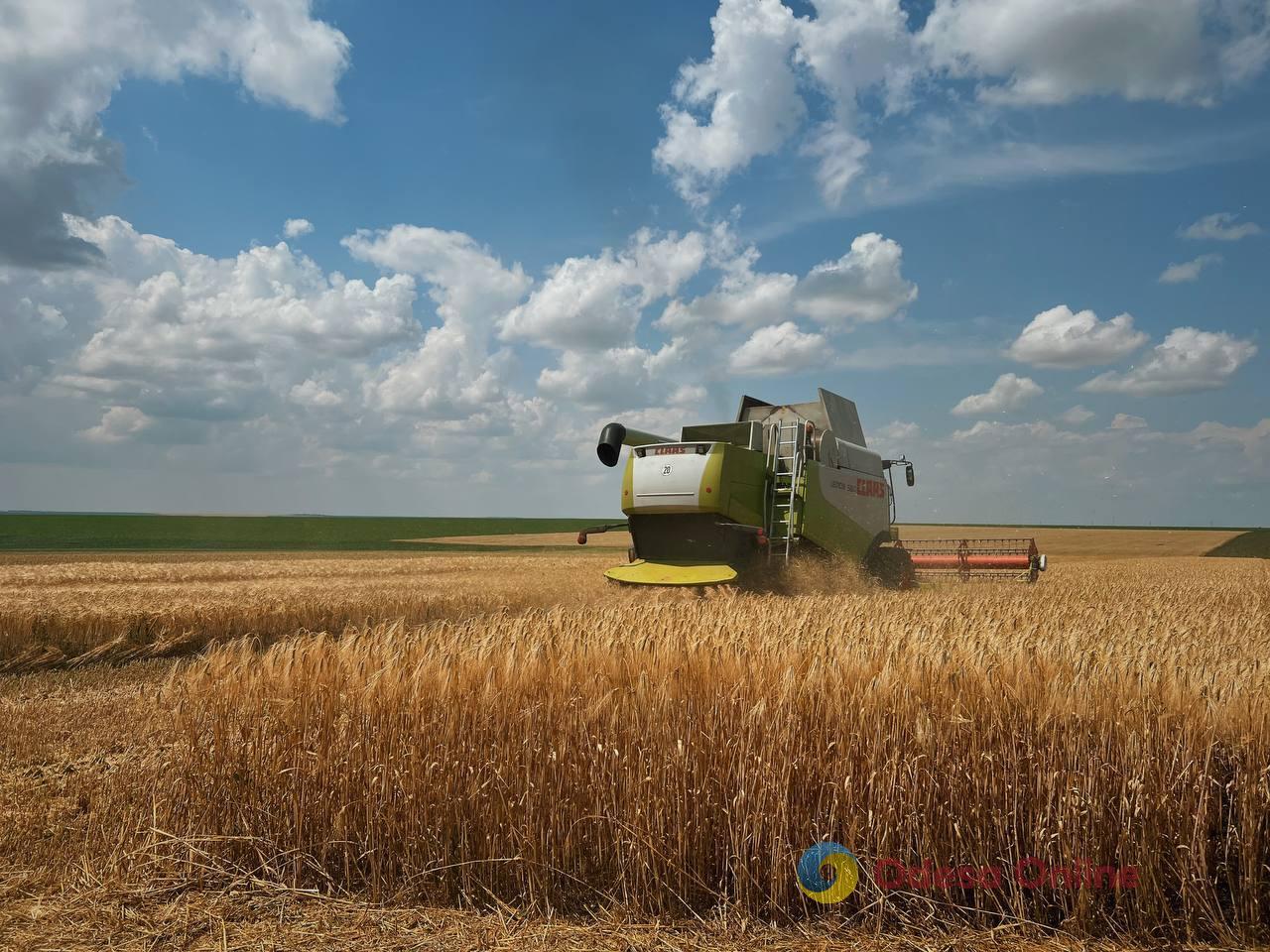 Одеські аграрії намолотили перші 100 тисяч тонн зерна