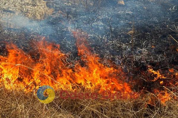 В Одесской области поджигателей сухой растительности привлекли ответственности