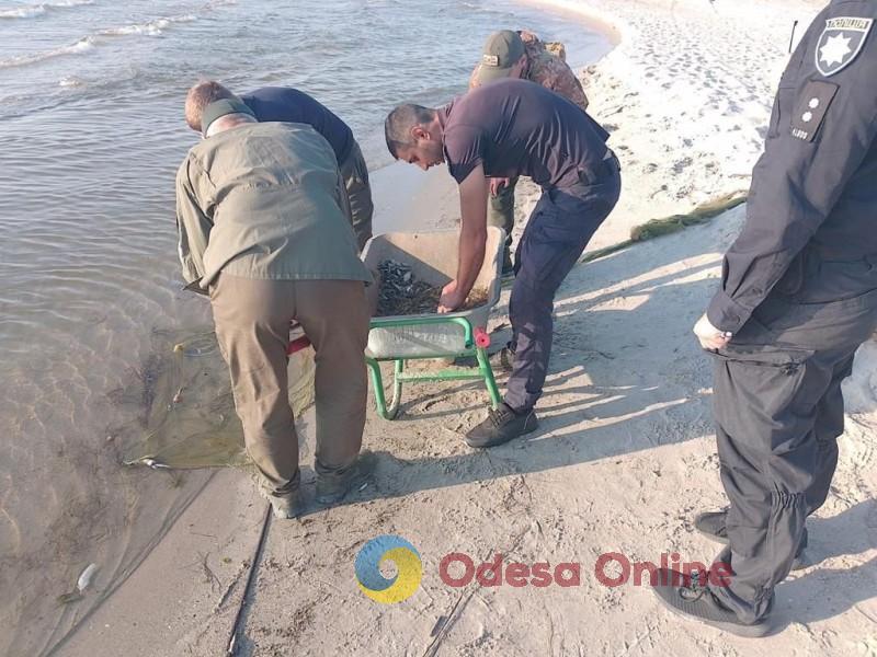 Ловил креветок, крабов и рыбу в зараженном море: в Измаильском районе задержали браконьера