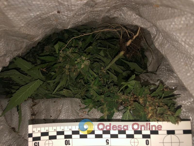 В Одесской области во время комендантского часа поймали наркоагрария, который перевозил урожай