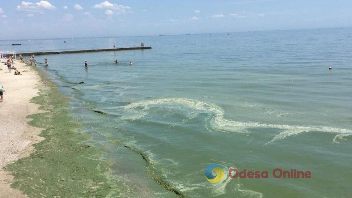 Мониторинг морской и питьевой воды в Одессе на 1 июля