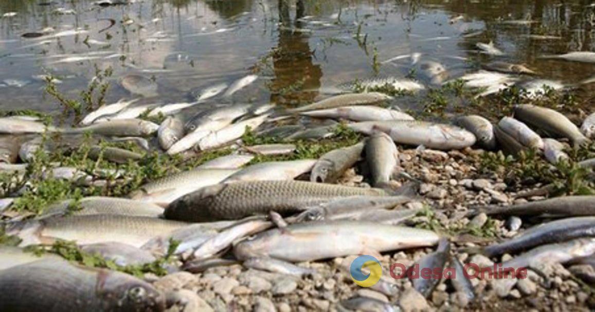 В Одесской области пятеро людей отравились рыбой, среди них ребенок