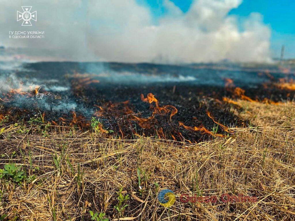 Пожежна небезпека: за минулий тиждень на Одещині вигоріло майже 10 гектарів сухої трави (фото)