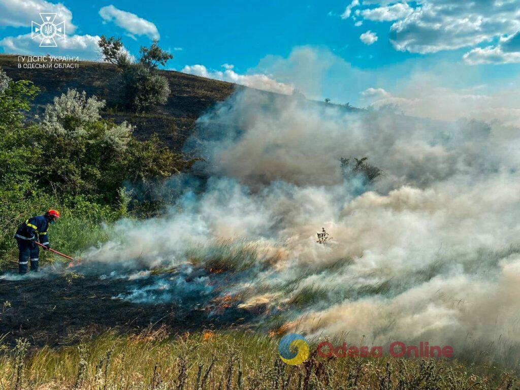 Пожежна небезпека: за минулий тиждень на Одещині вигоріло майже 10 гектарів сухої трави (фото)