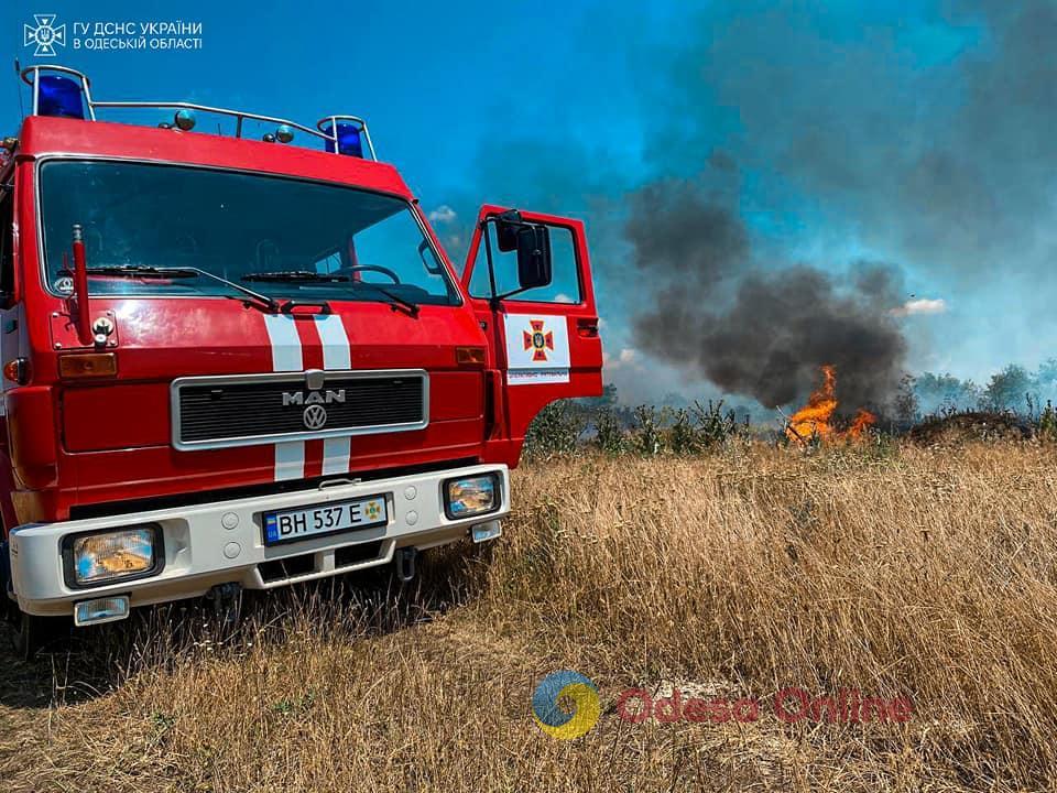 Пожежна небезпека: за минулий тиждень на Одещині вигоріло майже 10 гектарів сухої трави (фото)