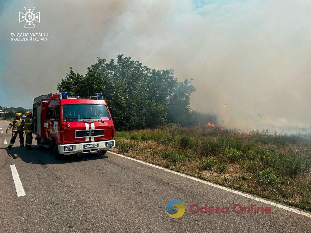 Пожарная опасность: за неделю в Одесской области выгорело почти 10 гектаров сухой травы (фото)