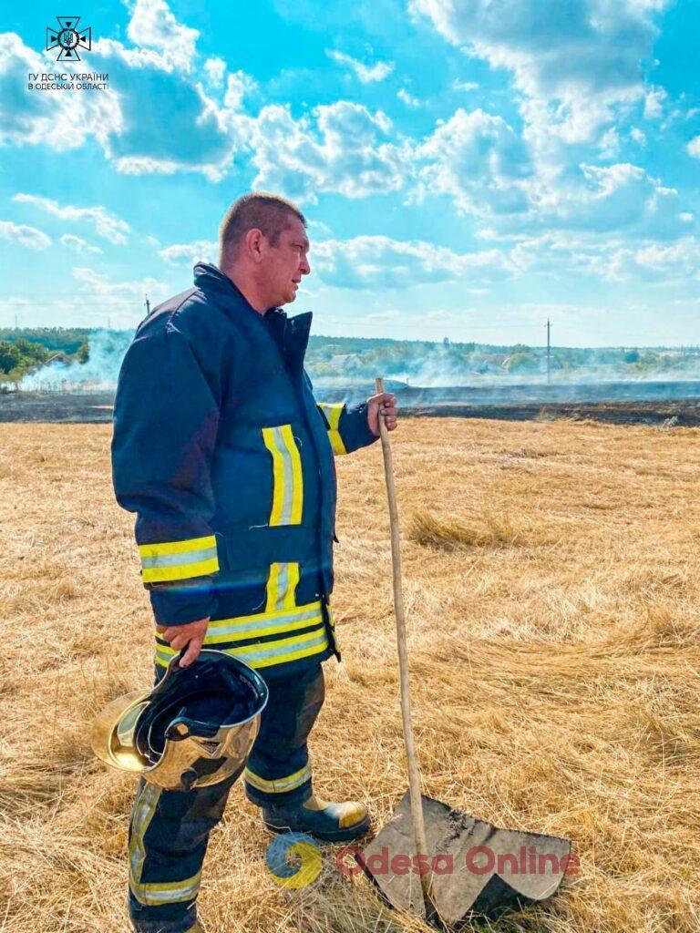 Пожарная опасность: за неделю в Одесской области выгорело почти 10 гектаров сухой травы (фото)