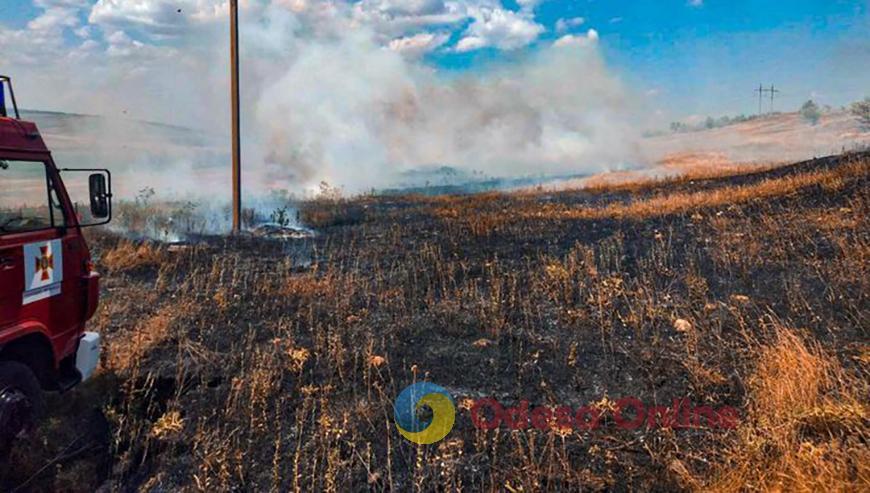 У Березівському районі підпалили пшеничне поле