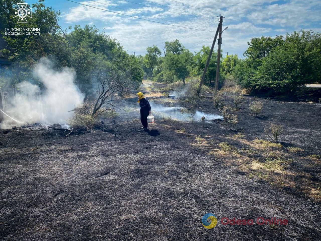 В Одесской области во время сжигания мусора пострадала пожилая женщина