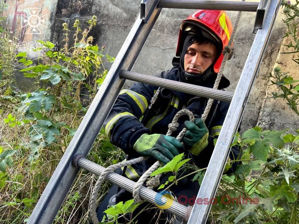 В Одесі на вулиці Хімічній сталася пожежа на заводі (фото, відео)