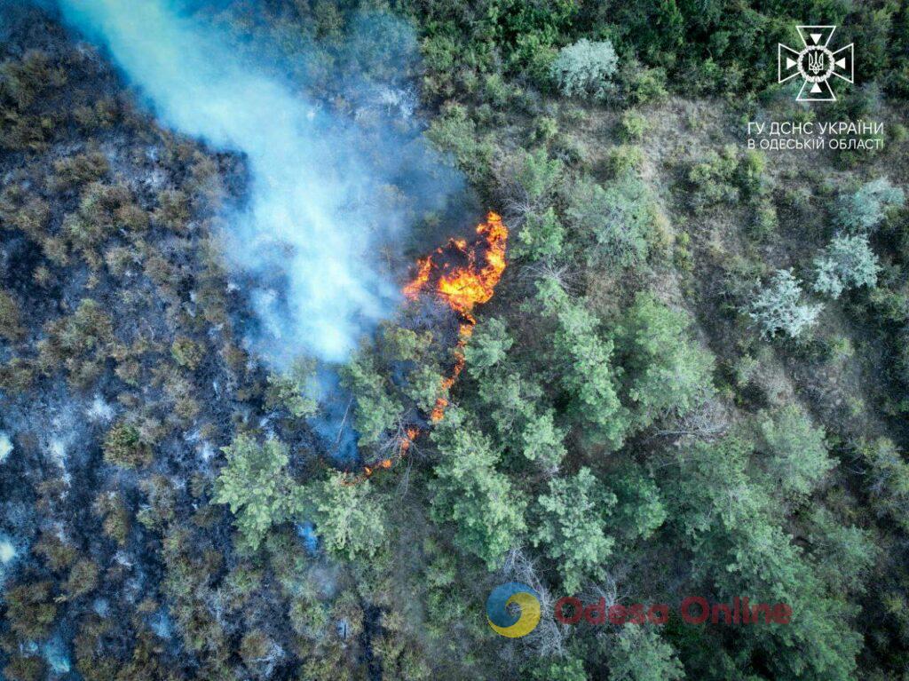 Під Одесою горіло 8 гектарів сухої трави (фото, відео)