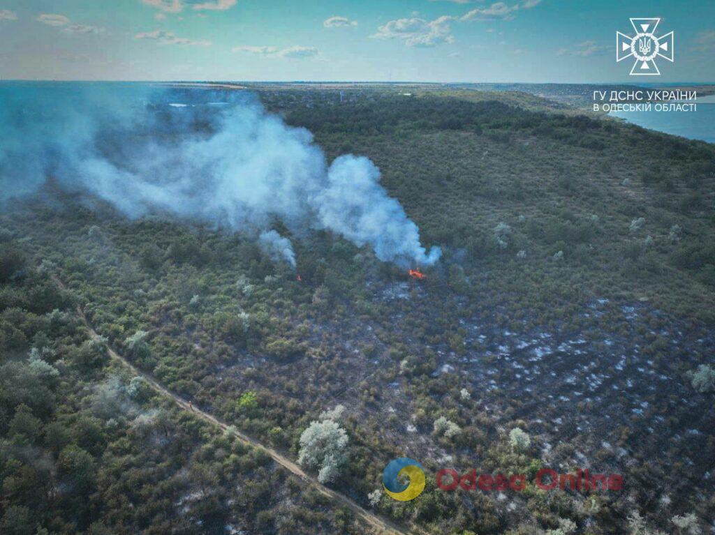 Масштабный пожар под Одессой: сгорело 8 гектаров сухой травы (фото, видео)