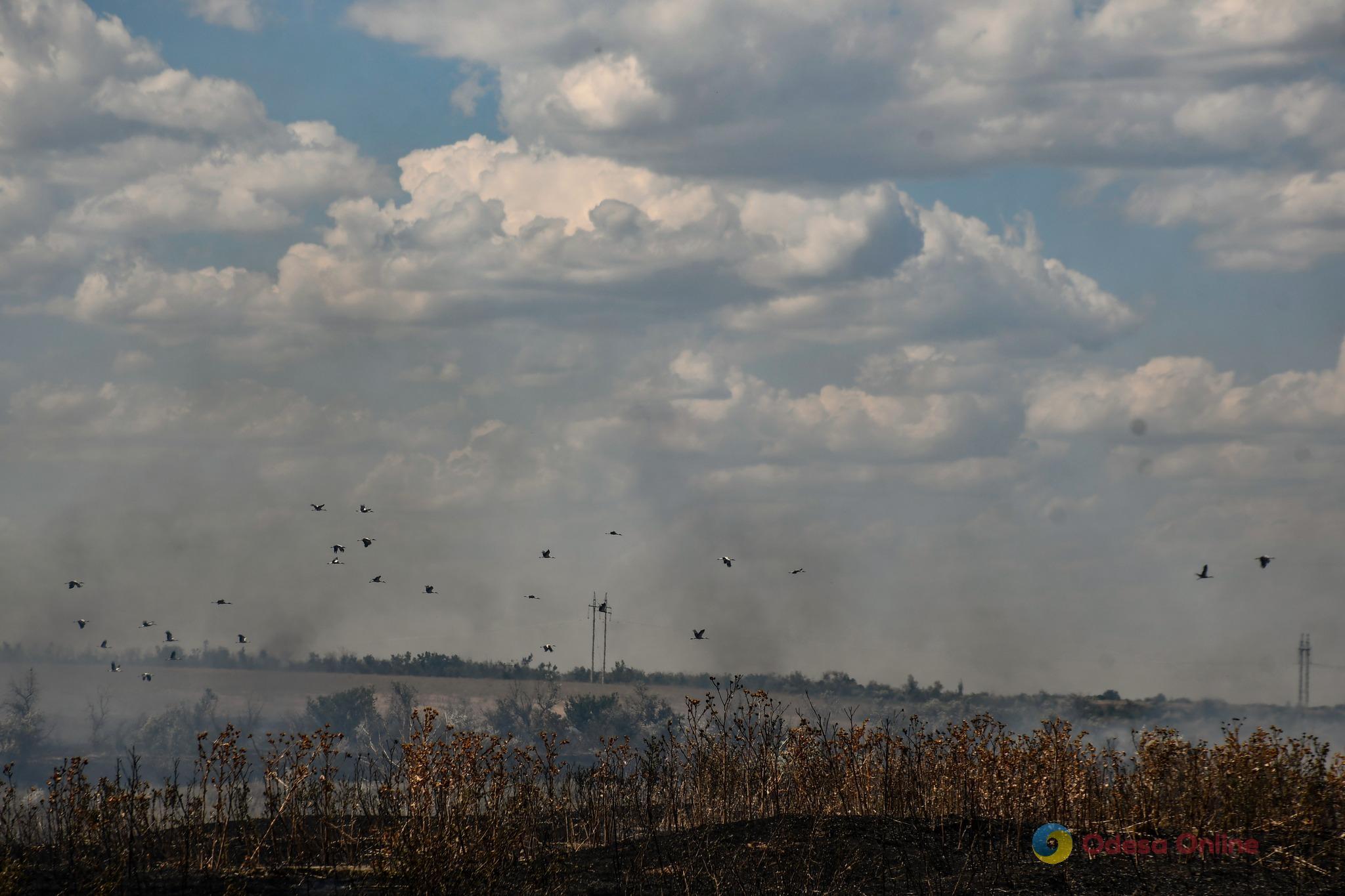 На Миколаївщині горять і детонують заміновані поля