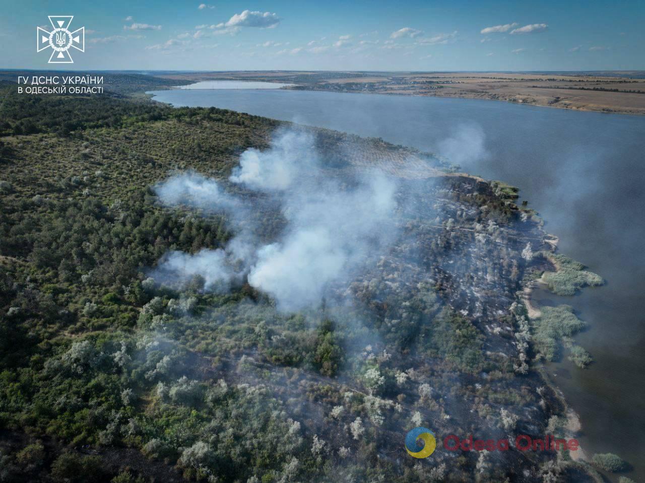 Під Одесою горіло 8 гектарів сухої трави (фото, відео)