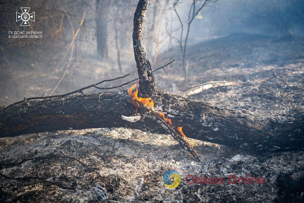 Масштабный пожар под Одессой: сгорело 8 гектаров сухой травы (фото, видео)