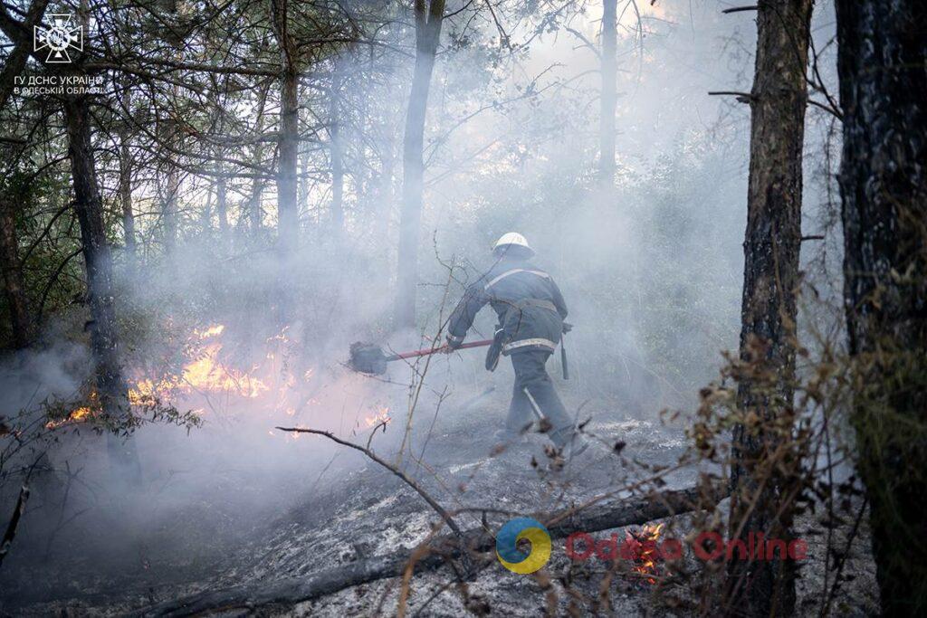 Масштабный пожар под Одессой: сгорело 8 гектаров сухой травы (фото, видео)