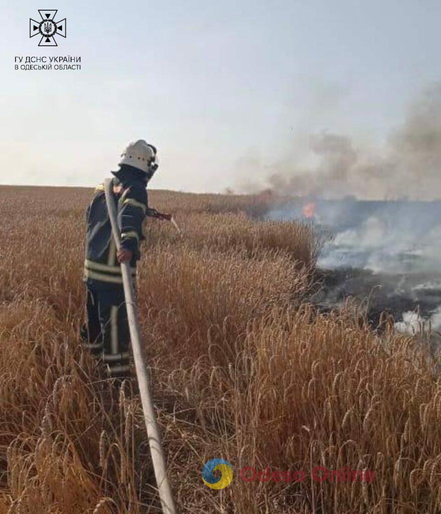 На Одещині вогнеборці врятували від вогню 20 гектарів пшениці