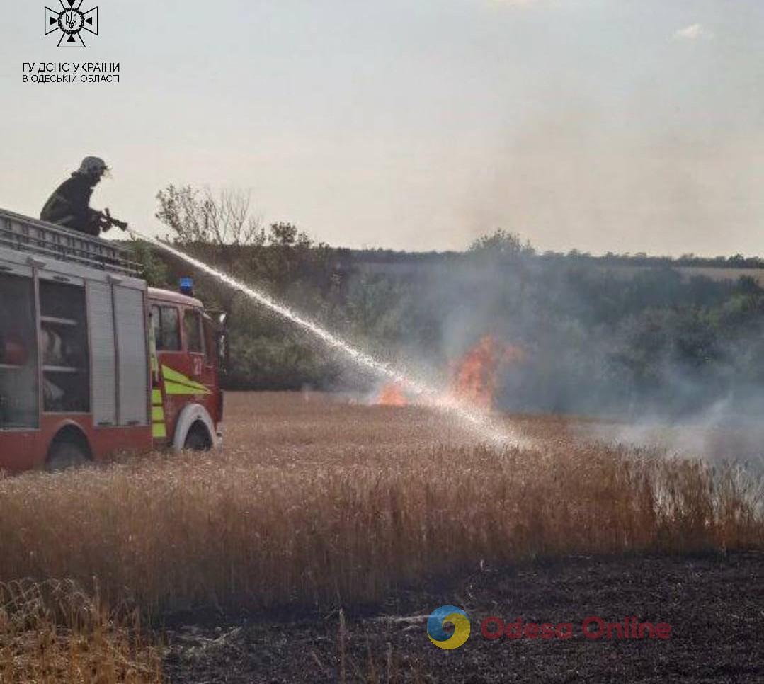 В Одесской области пожарные спасли от огня 20 гектаров пшеницы