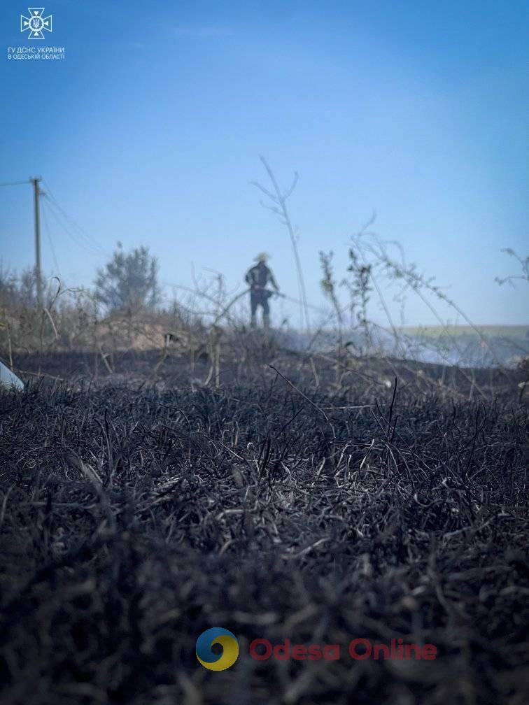 В Одесском районе горела сухая трава: огонь едва не перекинулся на жилые дома (фото, видео)