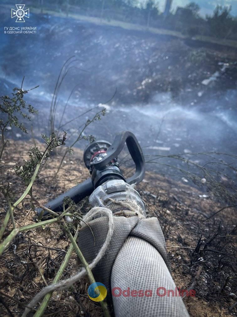 В Одеському районі горіла суха трава: полум’я мало не перекинулось на будинки (фото, відео)