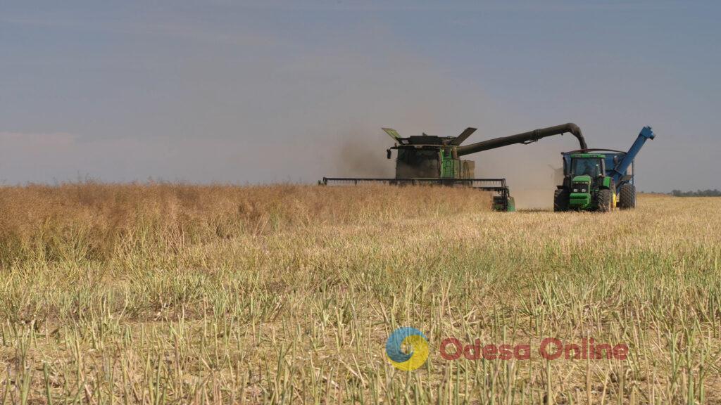 Земля гірко плаче: як російський екоцид руйнує сільське господарство півдня України