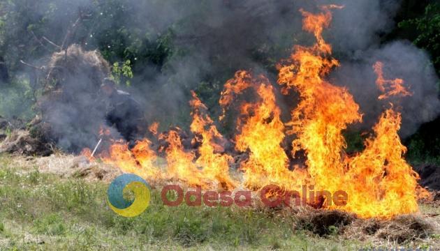 В Одесі та області очікується підвищений рівень пожежної небезпеки