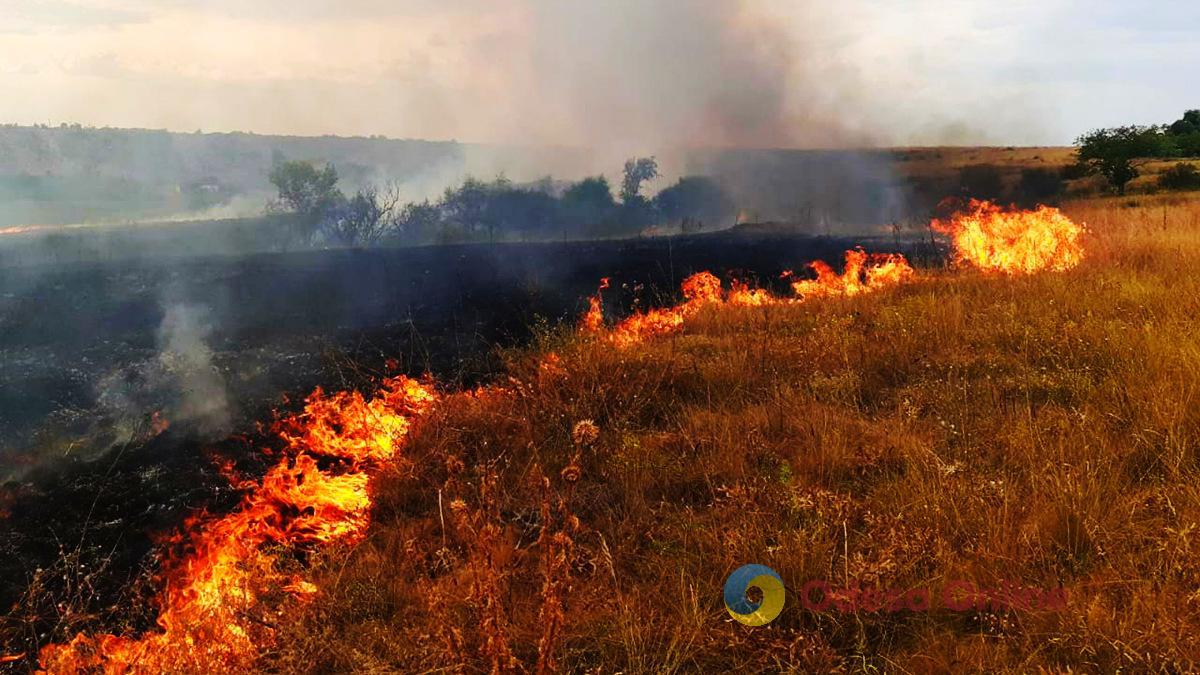 В Подольском районе женщина обгорела, пытаясь потушить пожар