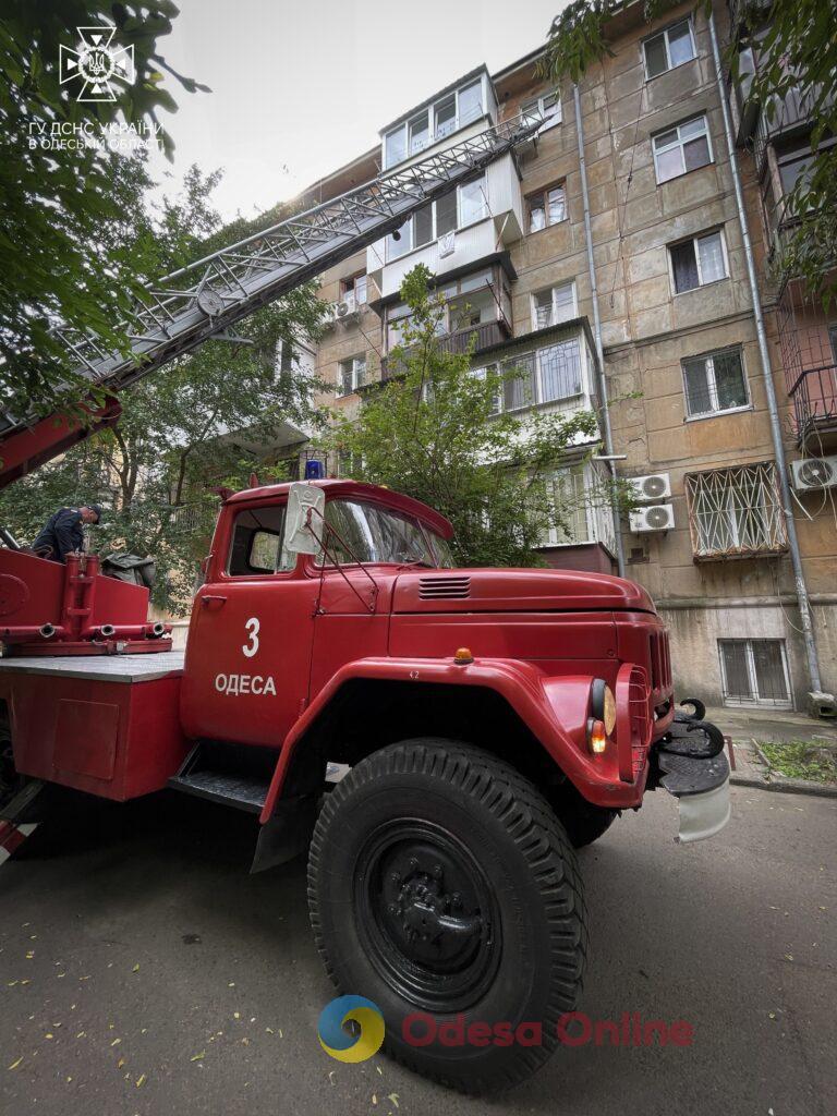 В Одесі співробітники ДСНС врятували двох пухнастих бешкетників (фото)