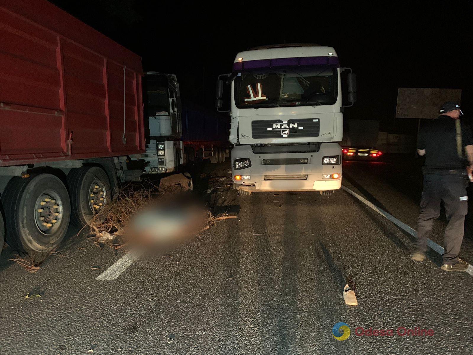 На трассе Одесса-Рени грузовик насмерть сбил мужчину