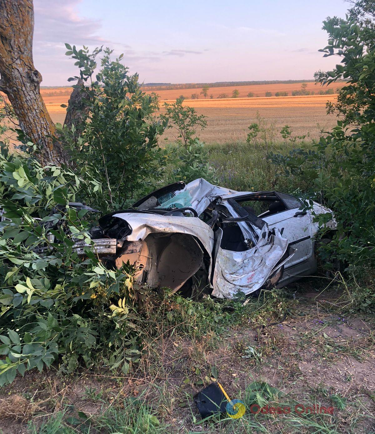 Въехал в дерево: в Одесской области насмерть разбился пьяный водитель BMW