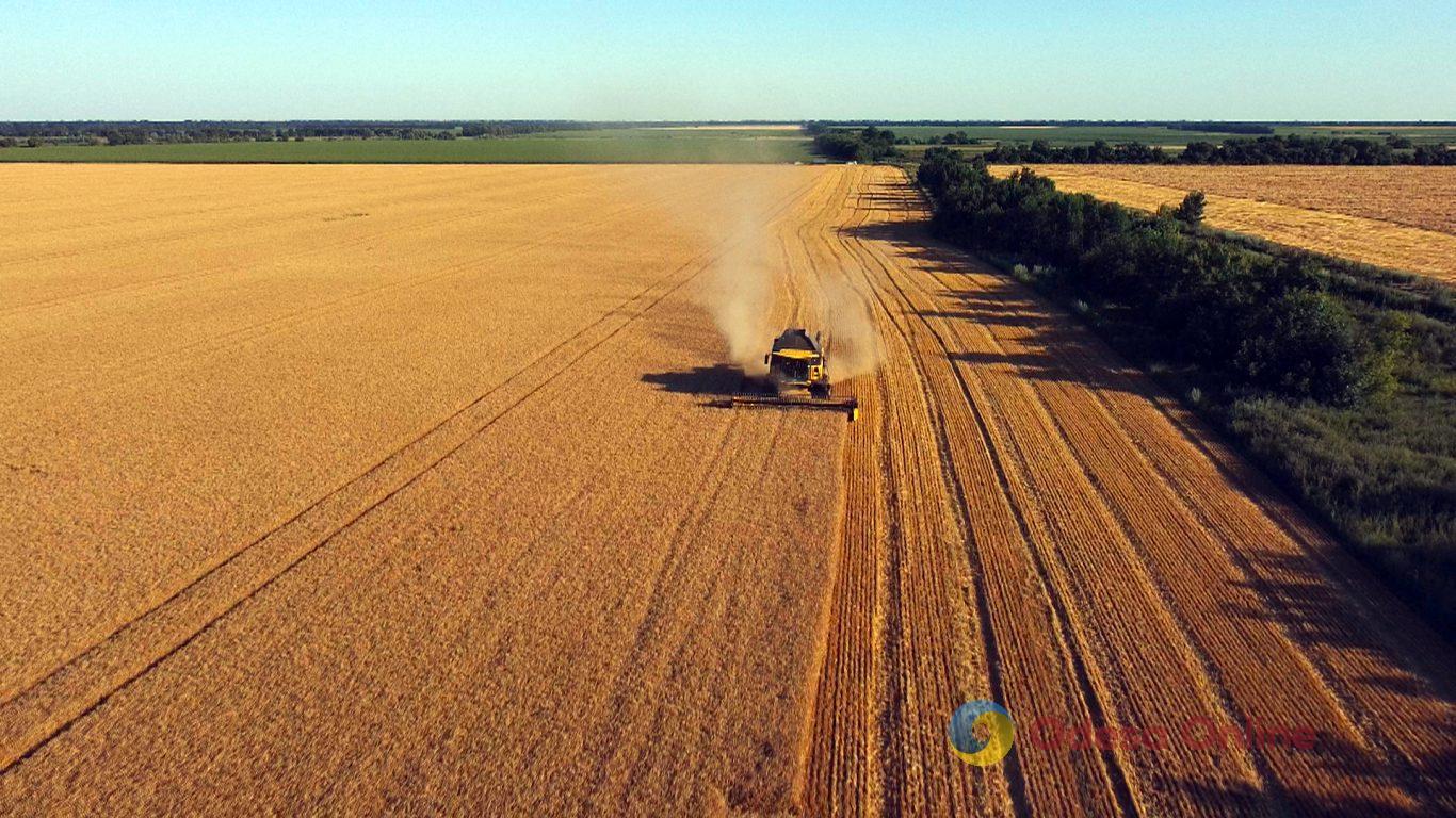 Одесская область первой в Украине собрала миллион тонн зерна