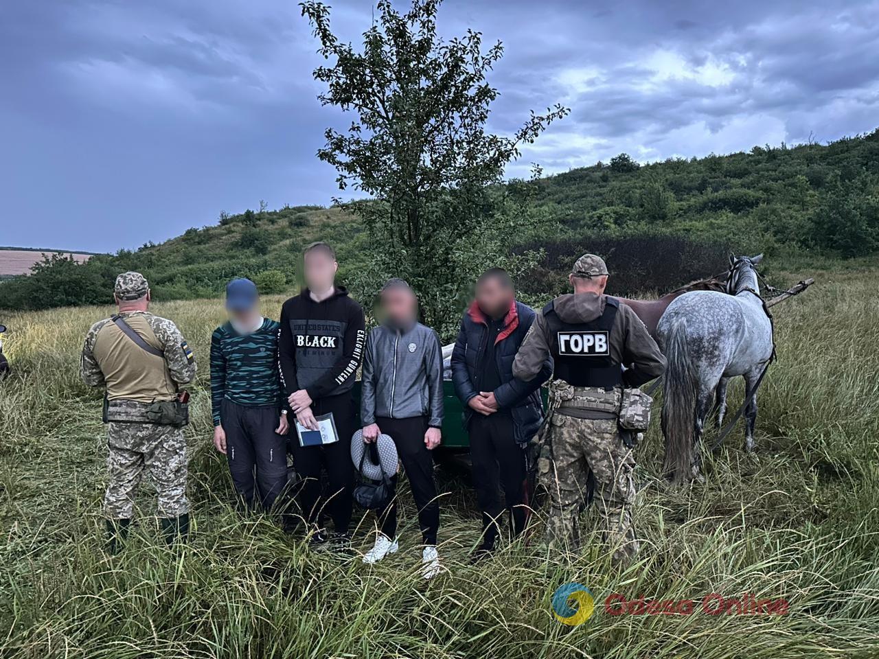 На Одещині троє ухилянтів намагались виїхати в Молдову гужовим транспортом