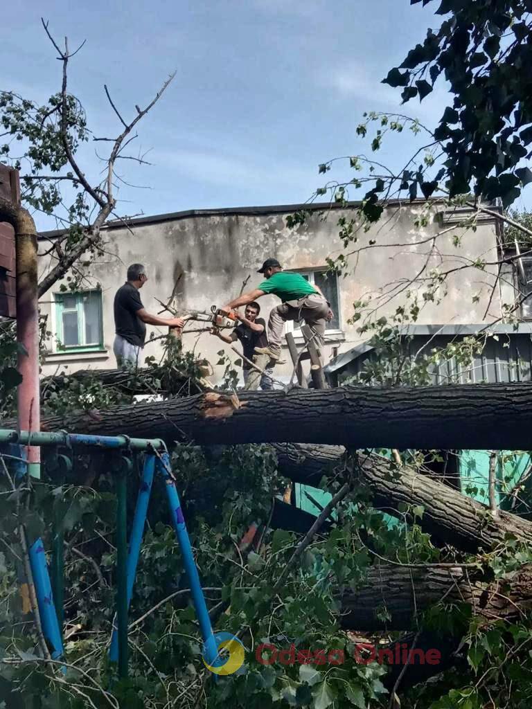 В Одессе продолжается древопад из-за непогоды (фото)