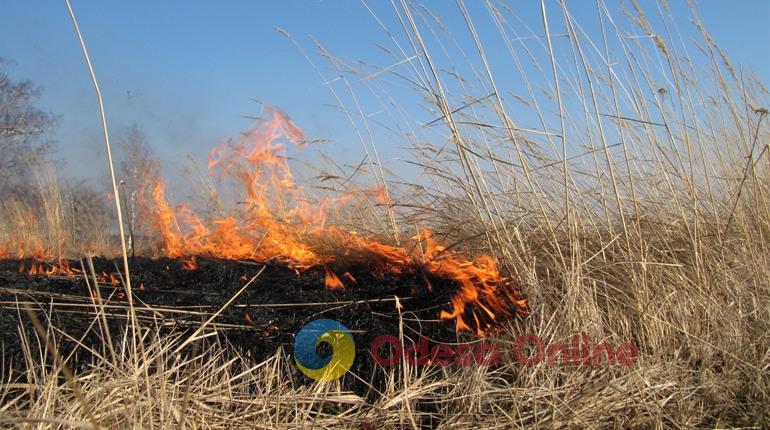 На Одещині хлопець отримав опіки, коли намагався самостійно загасити палаючу траву