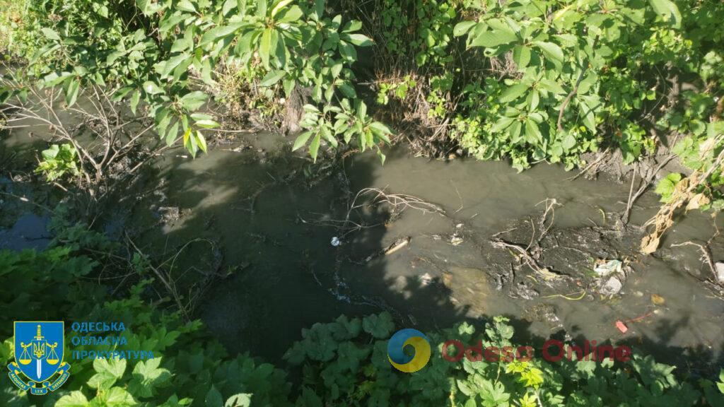 Чиновника будут судить за загрязнение канализационными стоками «Французского леса» в Подольском районе